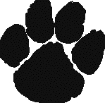 bearpaw